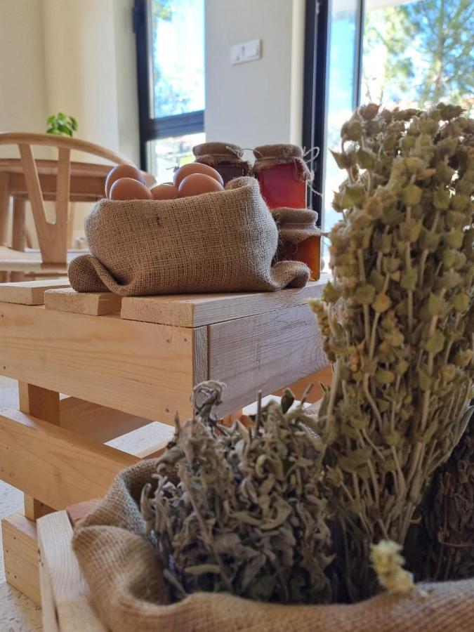 Thymises Boutique Hotel Kakopetriá Kültér fotó